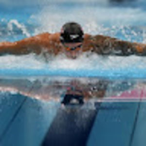 Meet your Posher, Gavin